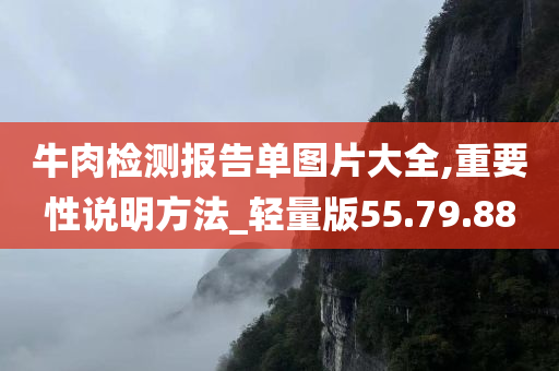 牛肉检测报告单图片大全,重要性说明方法_轻量版55.79.88