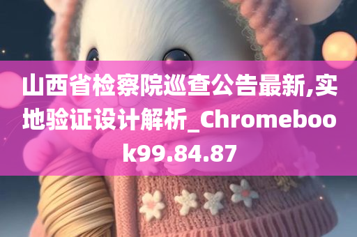 山西省检察院巡查公告最新,实地验证设计解析_Chromebook99.84.87