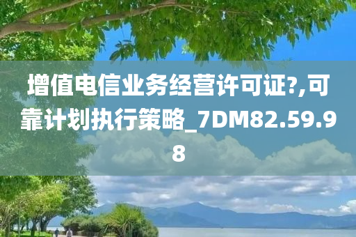 增值电信业务经营许可证?,可靠计划执行策略_7DM82.59.98