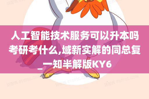 人工智能技术服务可以升本吗考研考什么,域新实解的同总复_一知半解版KY6