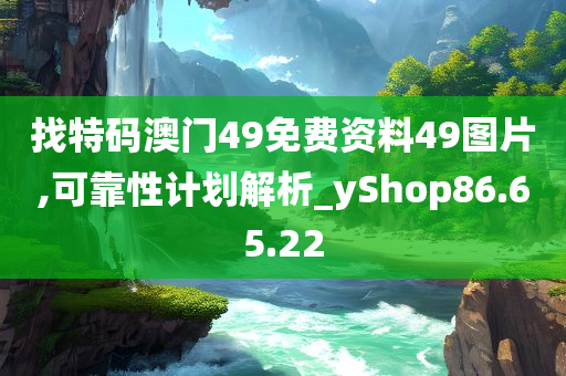 找特码澳门49免费资料49图片,可靠性计划解析_yShop86.65.22