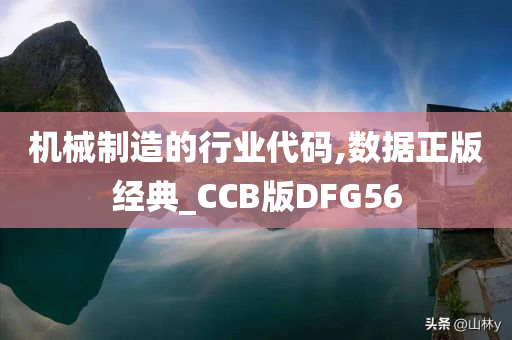 机械制造的行业代码,数据正版经典_CCB版DFG56