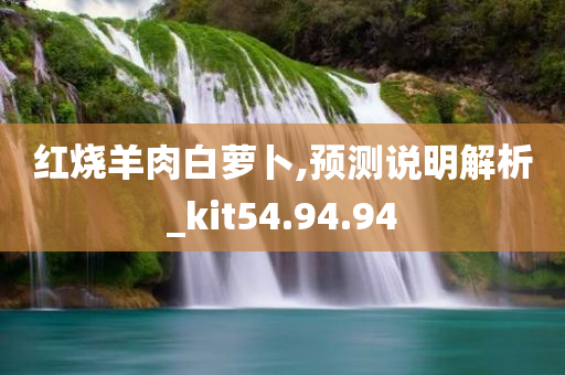 红烧羊肉白萝卜,预测说明解析_kit54.94.94