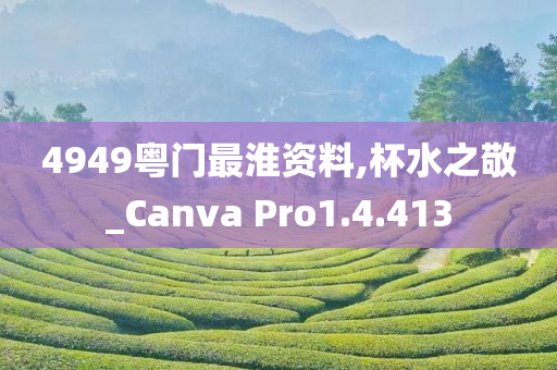 4949粤门最淮资料,杯水之敬_Canva Pro1.4.413