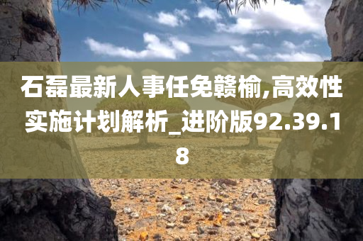 石磊最新人事任免赣榆,高效性实施计划解析_进阶版92.39.18