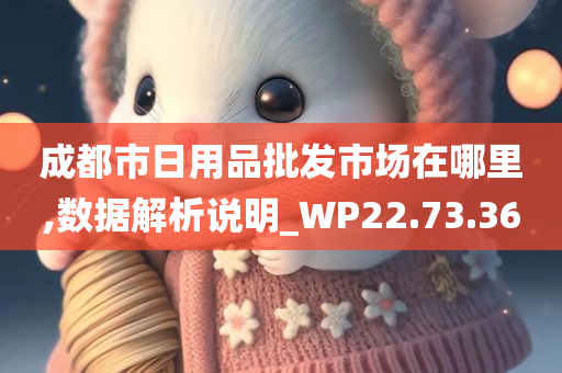 成都市日用品批发市场在哪里,数据解析说明_WP22.73.36