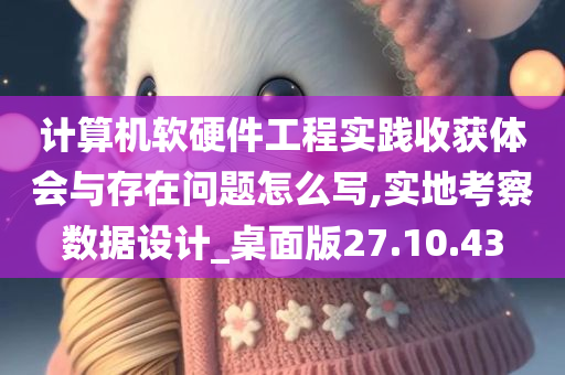 计算机软硬件工程实践收获体会与存在问题怎么写,实地考察数据设计_桌面版27.10.43