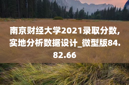 南京财经大学2021录取分数,实地分析数据设计_微型版84.82.66