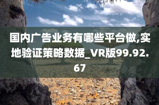 国内广告业务有哪些平台做,实地验证策略数据_VR版99.92.67