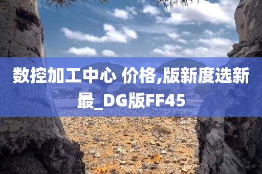 数控加工中心 价格,版新度选新最_DG版FF45