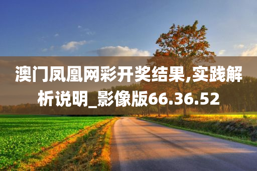 澳门凤凰网彩开奖结果,实践解析说明_影像版66.36.52