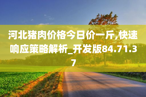 河北猪肉价格今日价一斤,快速响应策略解析_开发版84.71.37