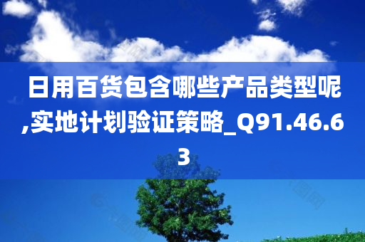 日用百货包含哪些产品类型呢,实地计划验证策略_Q91.46.63