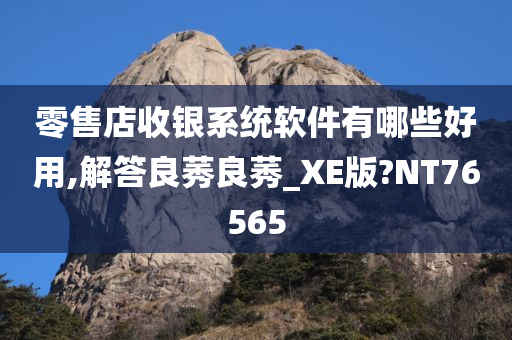 零售店收银系统软件有哪些好用,解答良莠良莠_XE版?NT76565