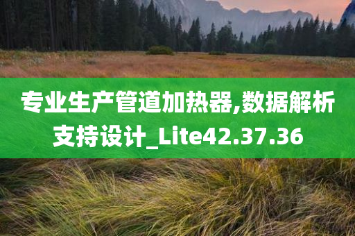 专业生产管道加热器,数据解析支持设计_Lite42.37.36