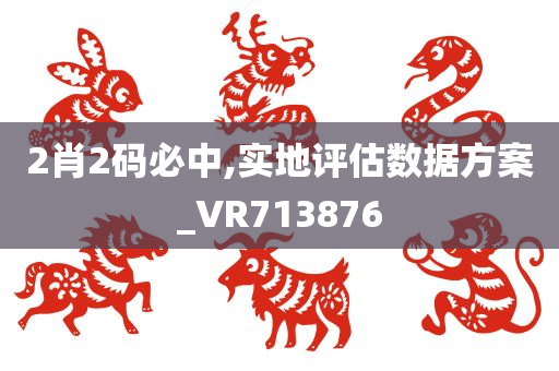 2肖2码必中,实地评估数据方案_VR713876