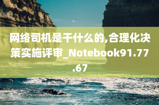 网络司机是干什么的,合理化决策实施评审_Notebook91.77.67