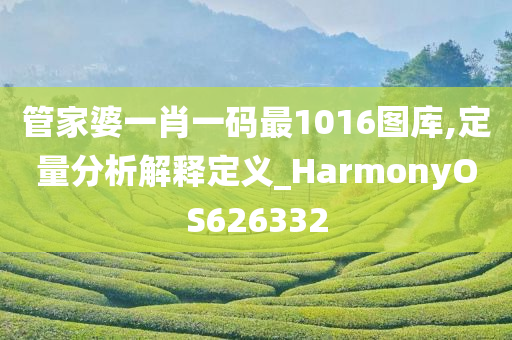 管家婆一肖一码最1016图库,定量分析解释定义_HarmonyOS626332