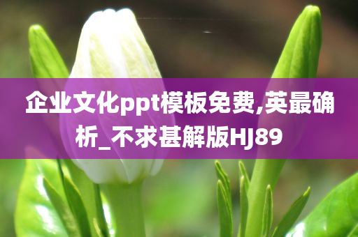 企业文化ppt模板免费,英最确析_不求甚解版HJ89