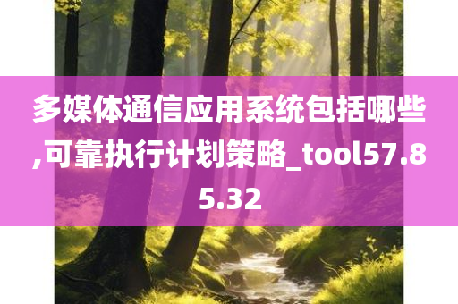 多媒体通信应用系统包括哪些,可靠执行计划策略_tool57.85.32