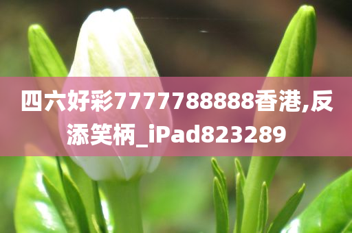 四六好彩7777788888香港,反添笑柄_iPad823289