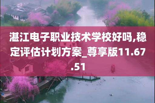 湛江电子职业技术学校好吗,稳定评估计划方案_尊享版11.67.51