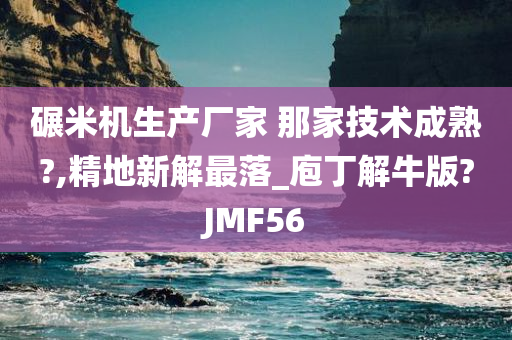 碾米机生产厂家 那家技术成熟?,精地新解最落_庖丁解牛版?JMF56