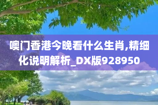 噢门香港今晚看什么生肖,精细化说明解析_DX版928950