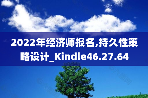 2022年经济师报名,持久性策略设计_Kindle46.27.64