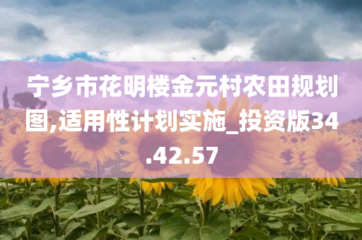 宁乡市花明楼金元村农田规划图,适用性计划实施_投资版34.42.57