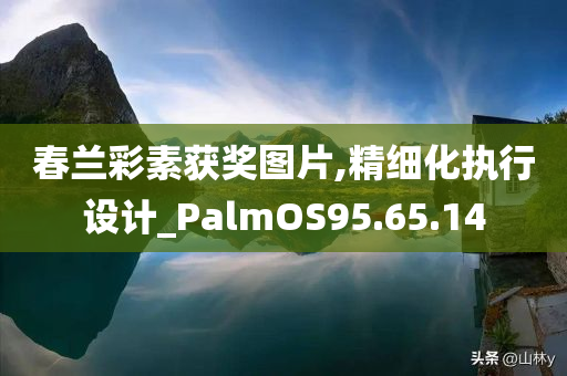 春兰彩素获奖图片,精细化执行设计_PalmOS95.65.14