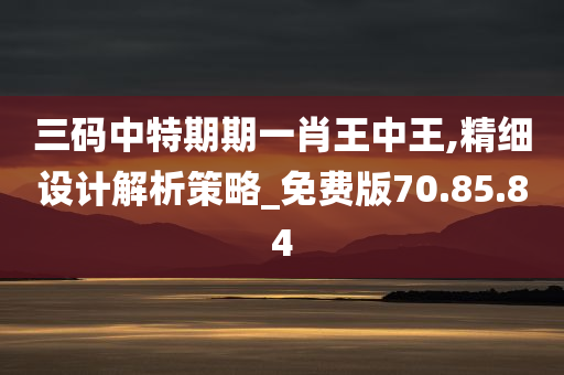 三码中特期期一肖王中王,精细设计解析策略_免费版70.85.84