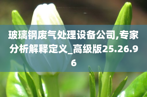 玻璃钢废气处理设备公司,专家分析解释定义_高级版25.26.96