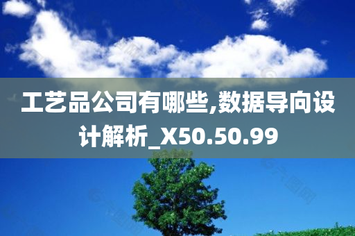 工艺品公司有哪些,数据导向设计解析_X50.50.99