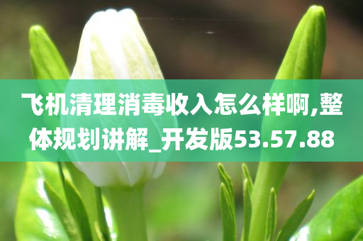 飞机清理消毒收入怎么样啊,整体规划讲解_开发版53.57.88