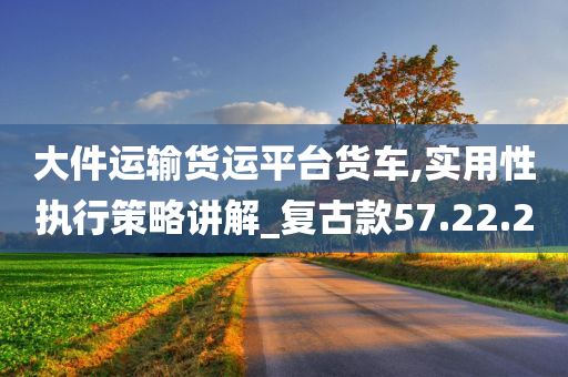 大件运输货运平台货车,实用性执行策略讲解_复古款57.22.20