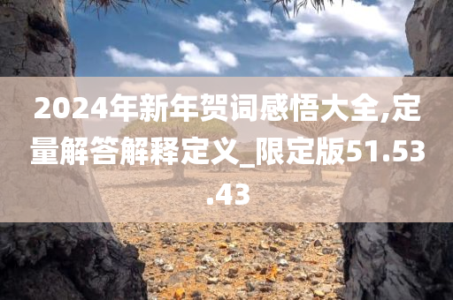 2024年新年贺词感悟大全,定量解答解释定义_限定版51.53.43