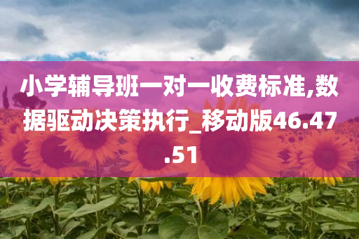 小学辅导班一对一收费标准,数据驱动决策执行_移动版46.47.51