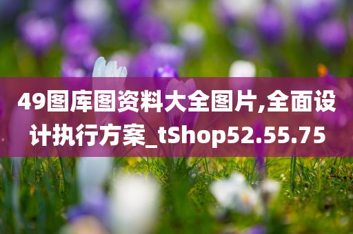 49图库图资料大全图片,全面设计执行方案_tShop52.55.75