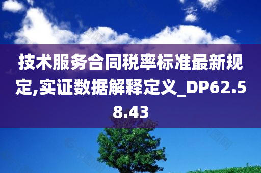 技术服务合同税率标准最新规定,实证数据解释定义_DP62.58.43