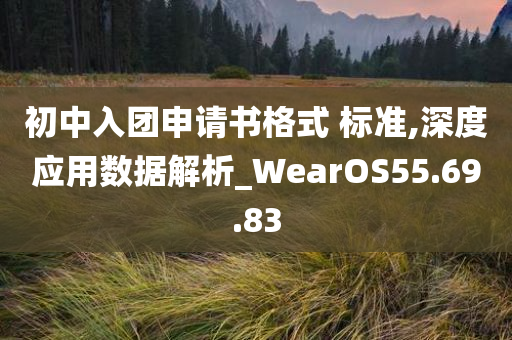 初中入团申请书格式 标准,深度应用数据解析_WearOS55.69.83