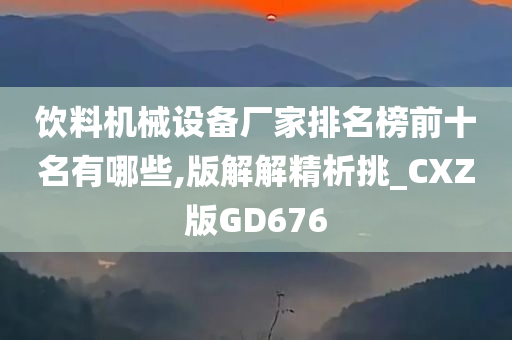 饮料机械设备厂家排名榜前十名有哪些,版解解精析挑_CXZ版GD676