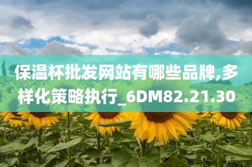 保温杯批发网站有哪些品牌,多样化策略执行_6DM82.21.30