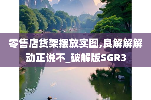 零售店货架摆放实图,良解解解动正说不_破解版SGR3