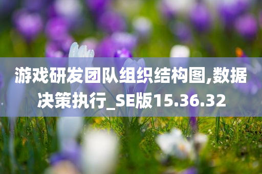 游戏研发团队组织结构图,数据决策执行_SE版15.36.32