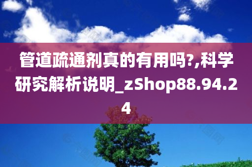 管道疏通剂真的有用吗?,科学研究解析说明_zShop88.94.24