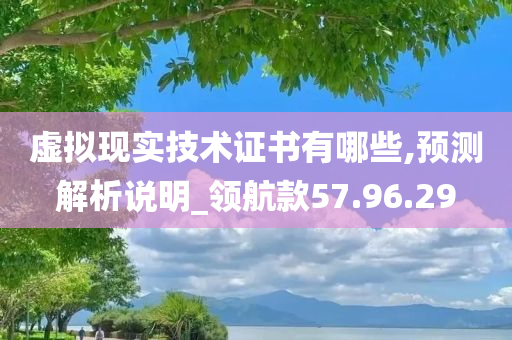 虚拟现实技术证书有哪些,预测解析说明_领航款57.96.29