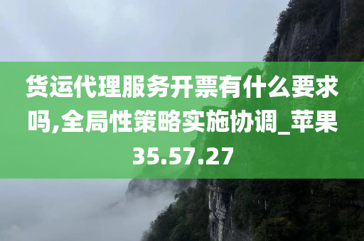 货运代理服务开票有什么要求吗,全局性策略实施协调_苹果35.57.27