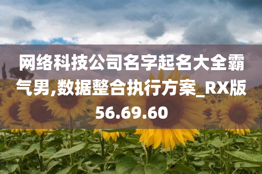 网络科技公司名字起名大全霸气男,数据整合执行方案_RX版56.69.60