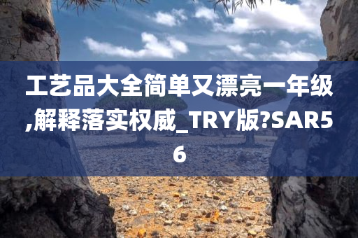 工艺品大全简单又漂亮一年级,解释落实权威_TRY版?SAR56